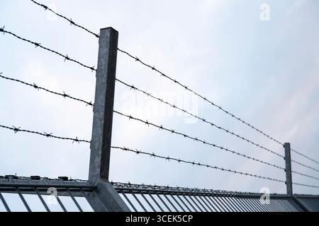 Barbed wire fence Stock Photo
