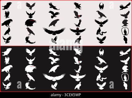 A compilation of eagle silhouettes in black and white with varying poses and wing positions shown Stock Vector