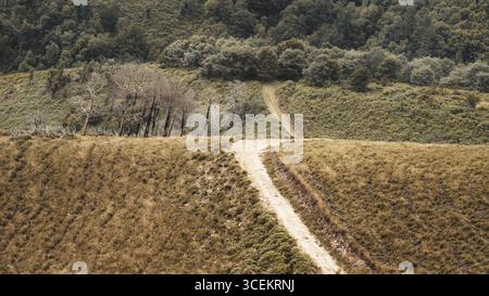 Winding dirt path running along grassy hilltop with sparse burnt trees in the background, surrounded by lush green forest, symbolizing contrast of des Stock Photo