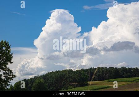 Tall growing cumulus clouds with a small cap at the top, called pileus in meteorology Stock Photo