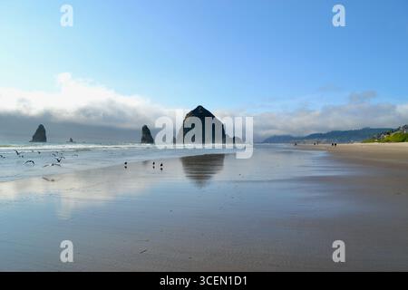Seagulls Take Flight Near a Beautiful Reflection of Haystack Rock on Cannon Beach, Oregon Stock Photo