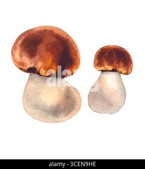 Hand drawn watercolor autumn mushrooms leaves and pumpkins frame border ...