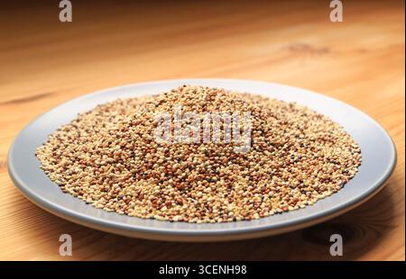 Plate of Dried Tricolor Quinoa, Seeds rich in protein, fiber, and essential amino acids called Mother of All Grains by the Incas Stock Photo