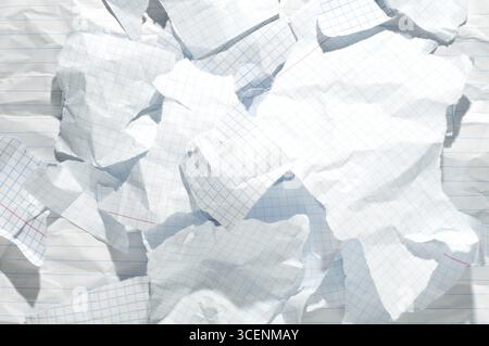 Torn school notebook sheet pieces with rough ripped edges, blue horizontal lines on white background. Stock Photo