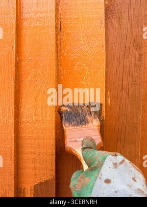 Wooden fence made of larch lap panels being painted with brown preservative fence paint Stock Photo
