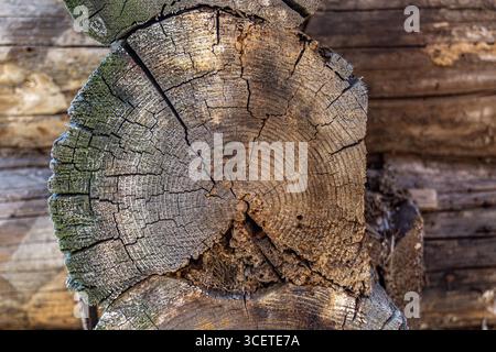 Detailed close up of a weathered wooden log cross section showing prominent growth rings, cracks, and aged texture. The background features additional Stock Photo
