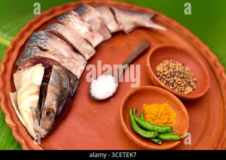 A close-up shot of a sliced Hilsa fish on a traditional clay plate. The dish is arranged on a green banana leaf and includes essential spices like mus Stock Photo