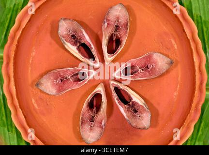 Six oval slices of raw Hilsa fish are arranged in a star-like pattern on a traditional clay plate. The deep pink flesh and distinctive shape of the fi Stock Photo