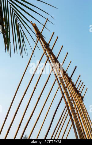 This image shows a structure made of upright bamboo poles against a clear blue sky, with a palm leaf visible in the upper left corner, Stock Photo