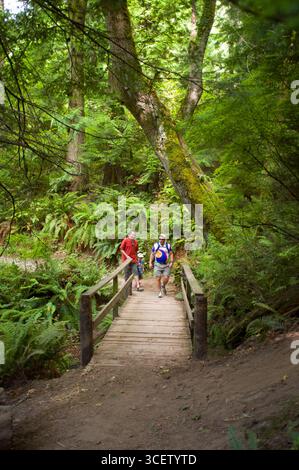 People walking across small wood bridge on trail in the Larrabee State Park, 245 Chuckanut Drive, Bellingham, Whatcom County, Washington, USA Stock Photo
