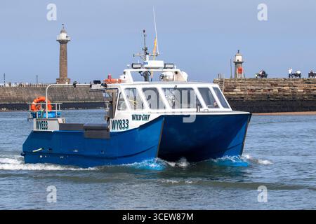 WY833 Wild Cat fishing vessel operating in Whitby in the harbour on the River Esk Stock Photo