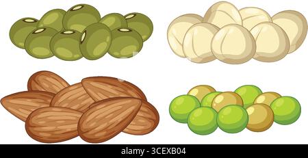 Colorful vector illustration of almonds, macadamia nuts, green olives, and pistachios arranged in isolated groups with clean outlines and soft shading Stock Vector