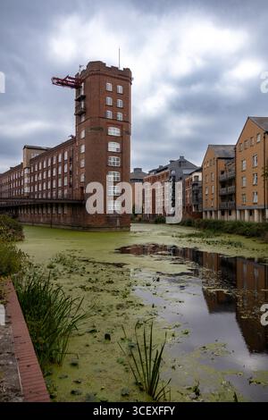 View of a historic red brick industrial-style building beside a canal covered with green algae, with modern apartments nearby Stock Photo