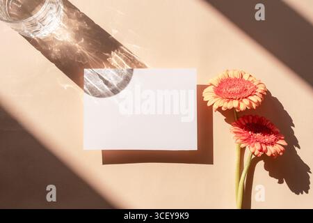 Blank white card with orange gerbera flowers and glass shadow on beige background. Top view, flat lay, mockup. Stock Photo