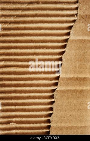 Close-up of torn corrugated cardboard showing textured ridges and paper layers Stock Photo
