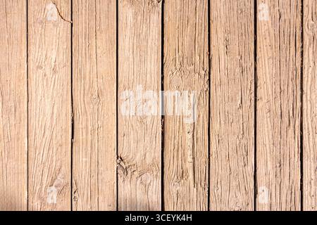 Oiled  wood, showing its natural resilience with golden tones that change with the light Stock Photo
