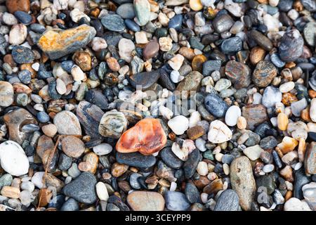 Background of sea stones. Stones of different shapes, sizes and colors on the seashore, close-up. Stock Photo