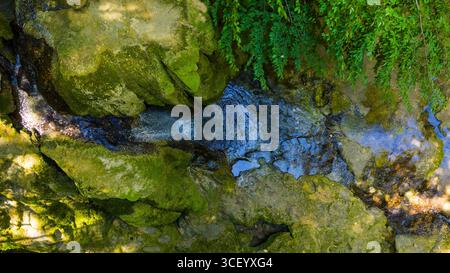 Crystal clear water flows between mossy rocks, revealing nature’s intricate design in a peaceful mountain stream Stock Photo