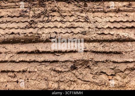Close-up of distinct tire tracks imprinted on a muddy surface, showcasing the pattern and texture of the tread in the wet earth Stock Photo