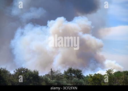 A Large Plume of Smoke Rising from a Forest Fire. Concept A signal of a large disaster. Stock Photo