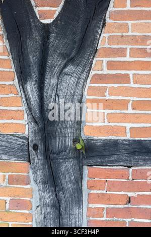 Half-timbered beams and brick wall of an old agricultural building Stock Photo