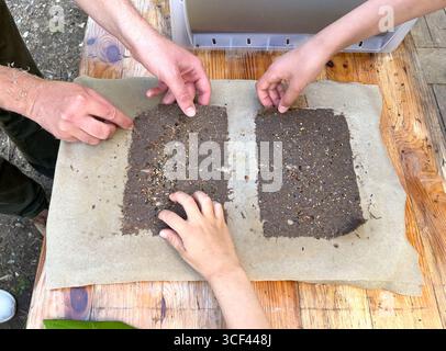 making paper, recycled paper. zero waste, eco friendly manufacturing, hand made. postcard, greeting card with plant seeds Stock Photo