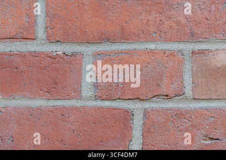 A straight-on close-up of a red brick wall with cool gray mortar joints. The rough surface of the bricks contrasts with the smoother mortar. Stock Photo