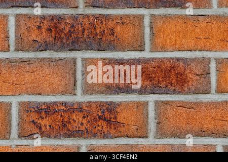 Red brick wall with dark stains, discoloration and surface irregularities. Rough textures and bluish-red tones suggest age, weathering, resilience. Stock Photo