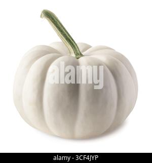 Single mini white pumpkin for Halloween isolated on white. Stock Photo