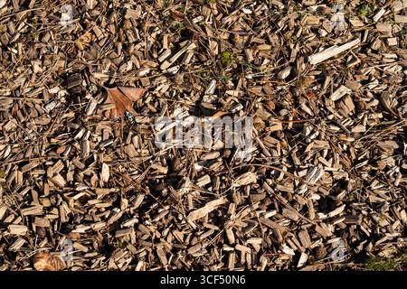 Wood chips, Wood chips, Wallpaper Stock Photo