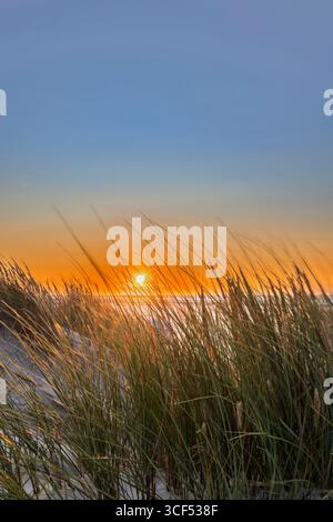 Sunset in the dunes on Juist, East Frisian Islands, Germany. Stock Photo