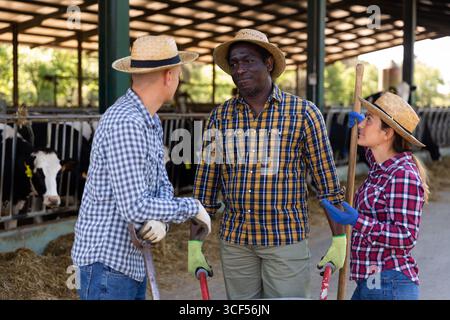 Farm workers discussing working process near cowshed Stock Photo