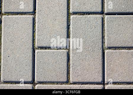 Close-up of rectangular and square gray paving stones laid in a pattern, with thin moss or weeds visible in the joints. Stock Photo