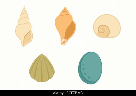 A tidy lineup of coastal finds including a thin spiral shell a pointed conch an egg shaped shell and a nautilus like swirl. Stock Vector