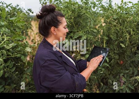 Female farmer using tablet in tomato plants field Stock Photo