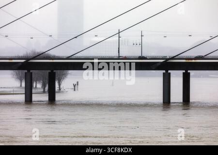 High water on the Rhine in Duesseldorf, view of the Rheinkniebruecke, Duesseldorf, North Rhine-Westphalia, Germany Stock Photo