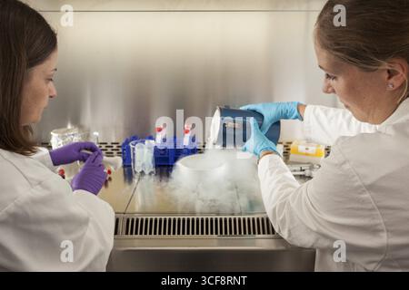 Female scientists of the biology department during RNA isolation and genetic engineering in the laboratories of the University of Duisburg-Essen Stock Photo