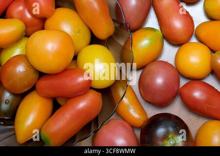 Colorful, freshly picked tomatoes in a woven basket, vibrant and enticing. Stock Photo