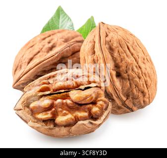 Whole walnuts and split walnut with kernel inside it isolated on white background. Clipping path. Stock Photo