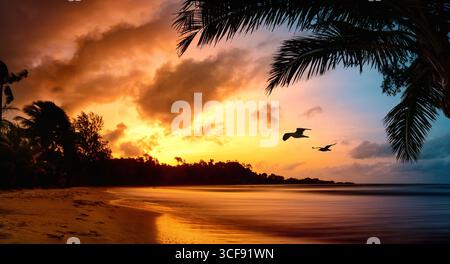 Tropical paradise beach after sunset with silhouettes of flying birds and palm trees. Ocean travel shot with dramatic colorful sky Stock Photo