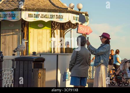 Seagull posing for a photograph on Brighton Palace Pier, Brighton, East Sussex, England, UK. Stock Photo