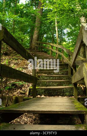 Hiking trails around Shades state park.  Indiana, USA. Stock Photo