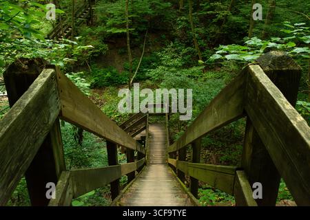 Hiking trails around Shades state park.  Indiana, USA. Stock Photo