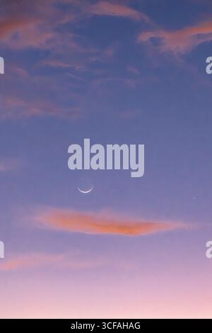 Moon rising in the Maui sky at blue hour. Stock Photo