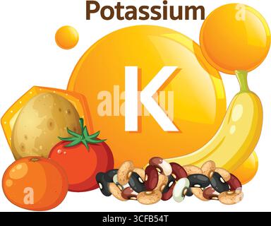 Colorful flat design vector showing potassium symbol with banana, potato, tomato, orange, and assorted beans, emphasizing healthy nutrition and minera Stock Vector