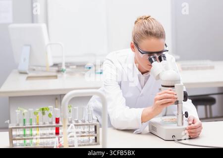 Stereo microscope magnifying plant sample on lab bench with colored test tubes standing in rack Stock Photo