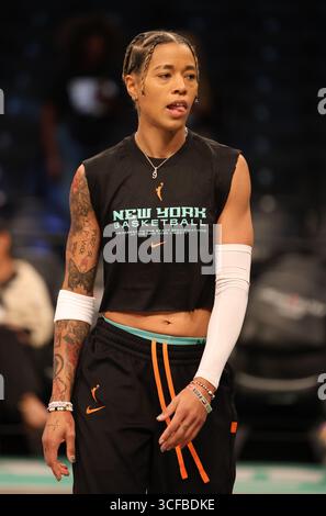Natasha Cloud #9 and the New York Liberty take on the Atlanta Dream at