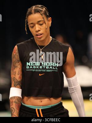 New York Liberty guard Natasha Cloud (9) defends against a shot by