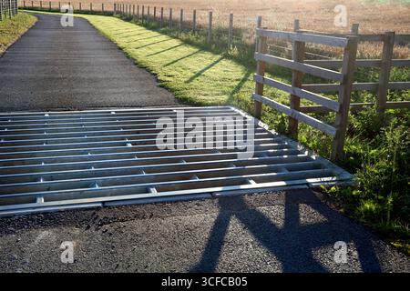 Metal cattle grid situated at the entrance to a farm access road on a sunlit summer evening Stock Photo