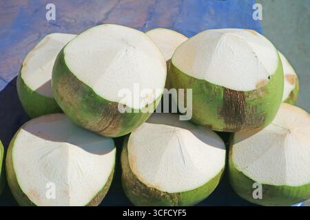 Pile of fresh young coconuts cut in the shape to be opened for drinking Stock Photo